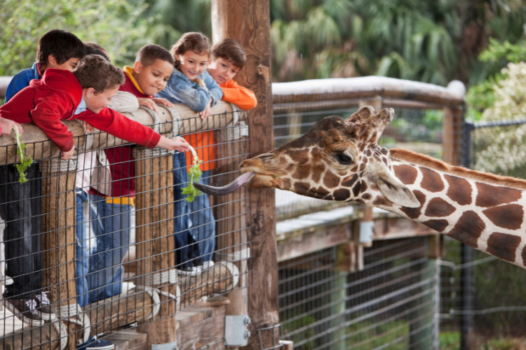 Virtual tours for kids when school is out - Zoos and Aquariums
