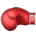 Boxing-Icon