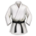 Martial Arts Icon