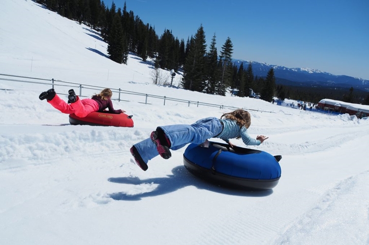 Mt. Shasta Ski Park -  skiing resort for kids