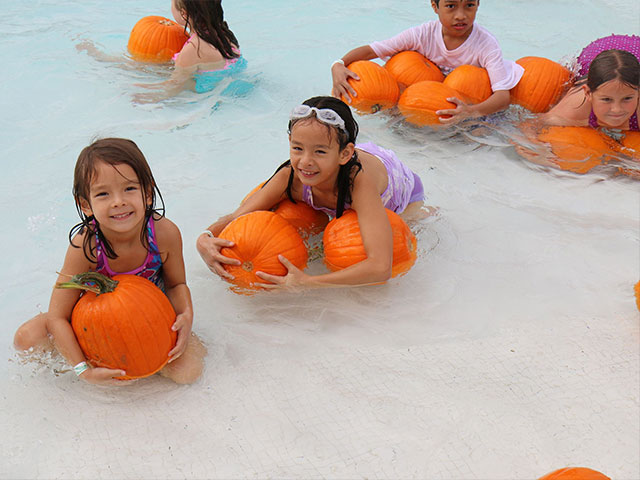 Fall festival and kid-friendly events during the fall season.