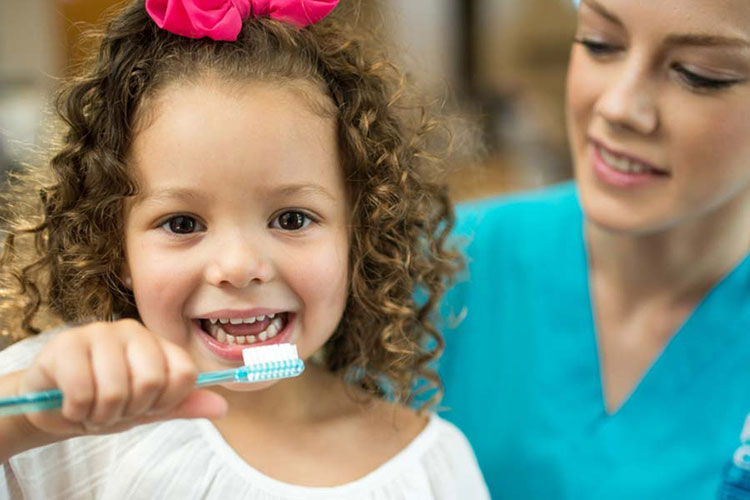 Proper brushing of teeth for dental hygiene. Use a soft bristle toothbrush and non-fluoride toothpaste for toddlers.