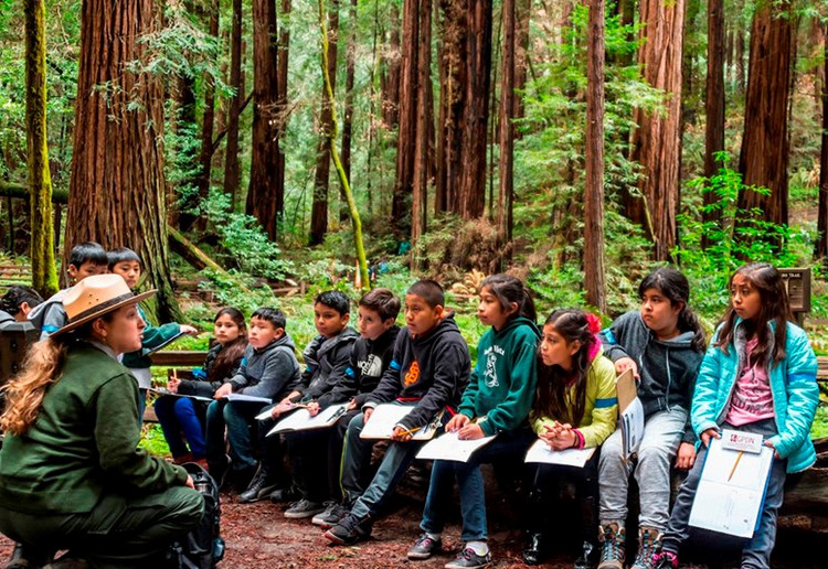 Wonder on the Muir Woods - kids attraction fun things to do