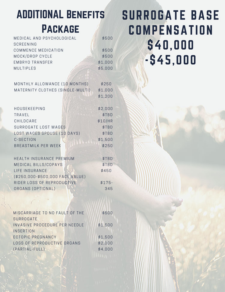 Made In the USA Surrogacy Fees
