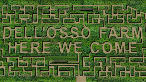 Dell'Osso Family Farm Pumpkin Maze