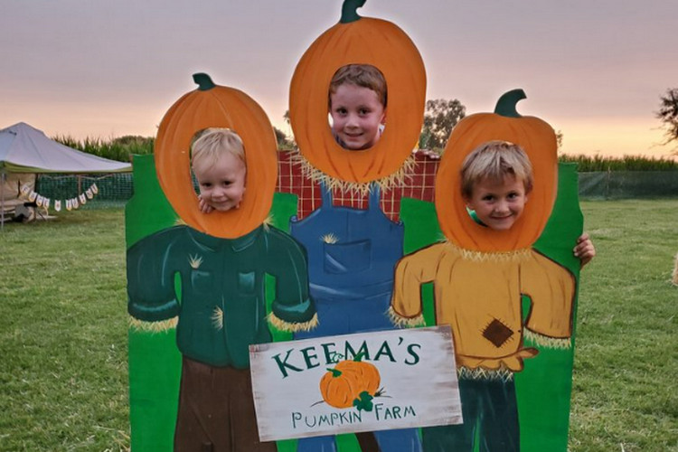 Keema’s Pumpkin Farm - Halloween, fall season