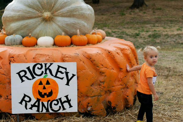 Rickey Ranch - fall season