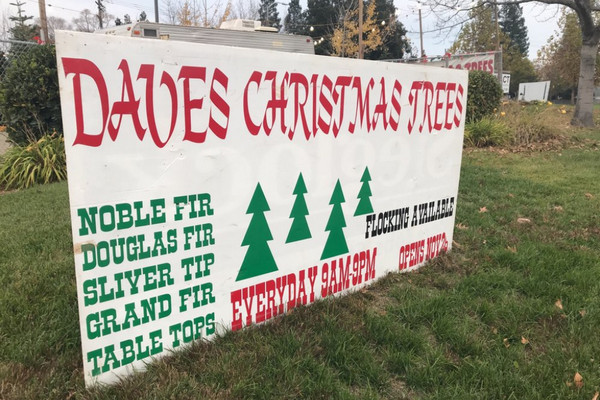 Dave's Christmas Tree Farm - holiday season