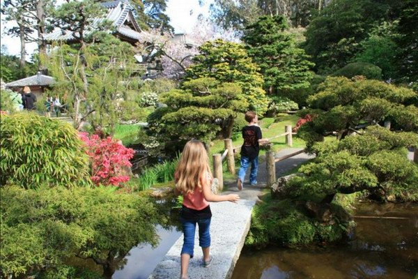 Things to do with kids on Thanksgiving Day in San Francisco - Japanese Tea Garden San Francisco