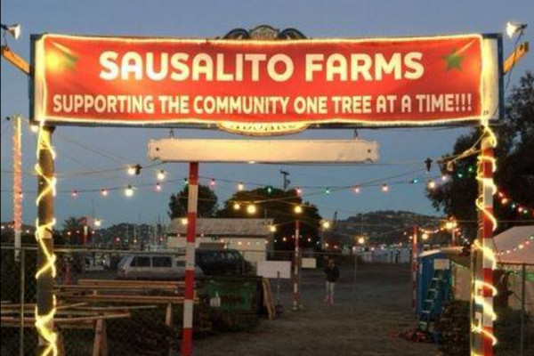 Best Christmas tree farms in San Francisco - Sausalito Farms