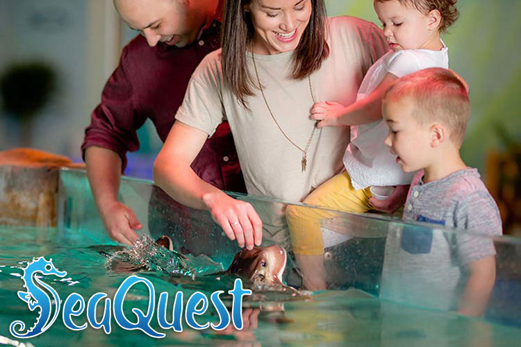 SeaQuest - fun things to do with kids in Sacramento