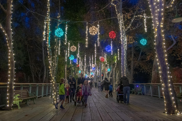 Christmas Lights In San Jose — Best Places To Visit | 4Kids.com