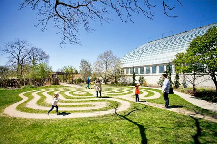 Chicago kids attractions and activities - Garfield Park Conservatory