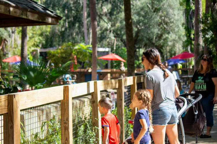 Fun things to do with kids in Orlando - Central Florida Zoo & Botanical Gardens