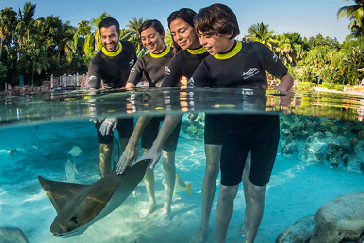 Fun things to do with kids in Orlando - SeaWorld