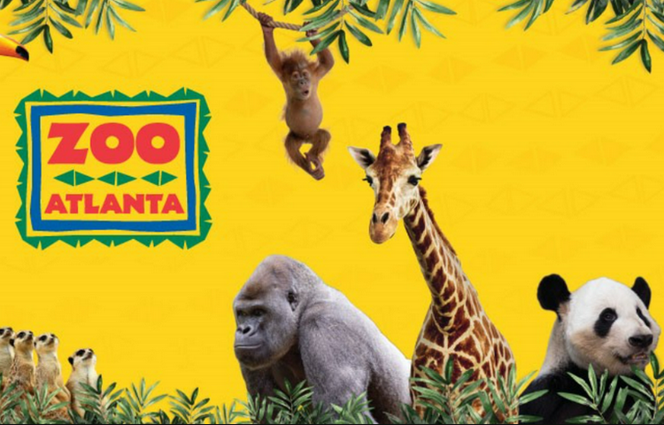 Kids activities and attractions - Zoo Atlanta