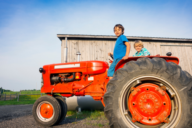 Fruit picking with kids in San Francisco - Andreotti Family Farms