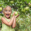 Best Fruit Picking with Kids in San Francisco