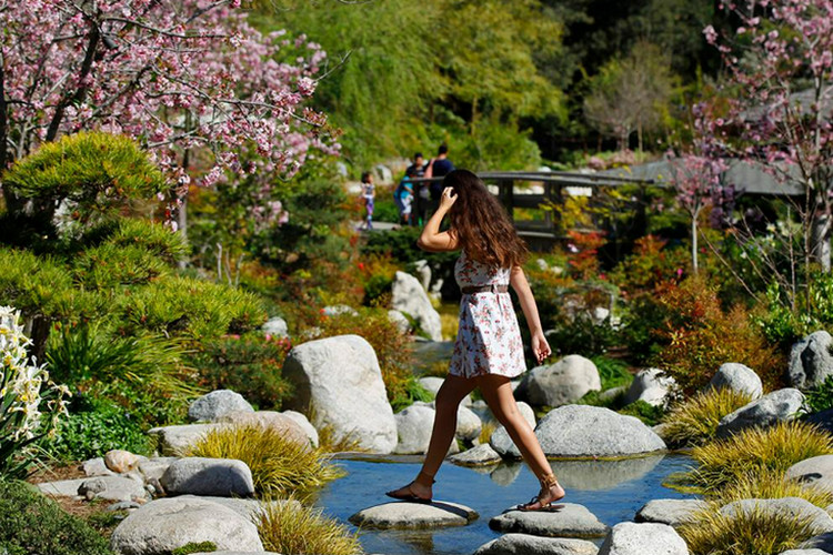 Attractions and activities for kids in San Diego - Japanese Friendship Garden