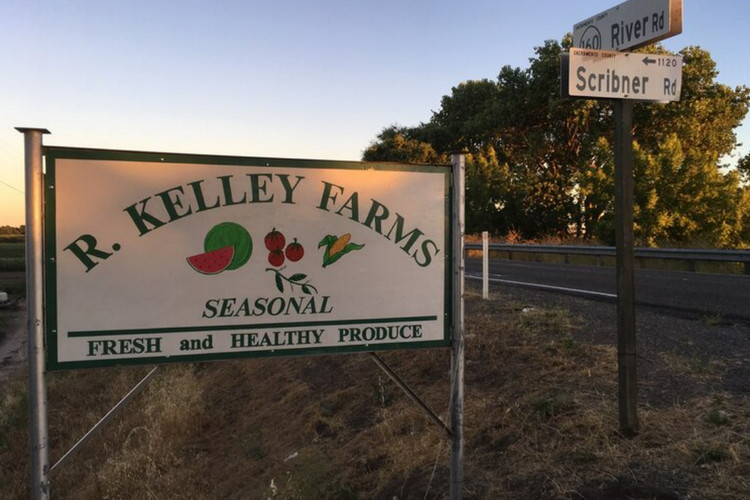 Fresh produce, fruits and vegetables - R. Kelley Farms