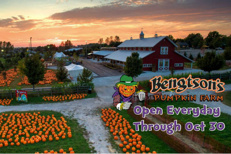 Best pumpkin patches in San Diego - Bengston’s Pumpkin Farm