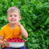 Best Fruit Picking with Kids in Los Angeles