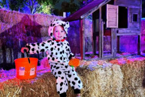 Best Pumpkin Patches In Los Angeles | 4Kids.com