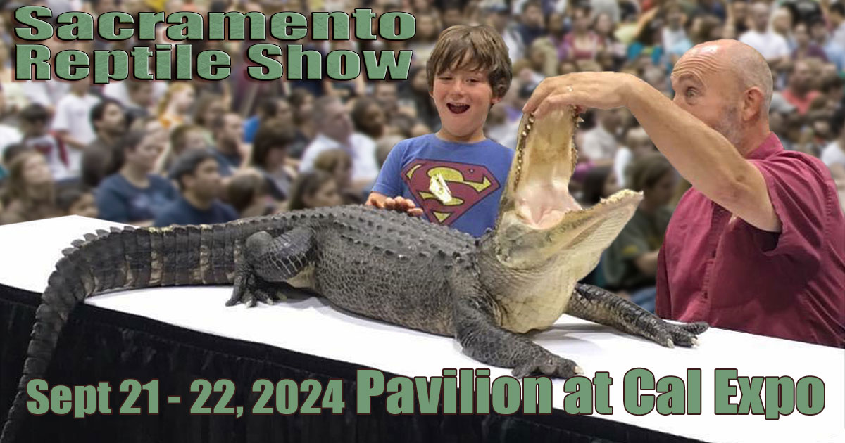 sacramento reptile show 2024