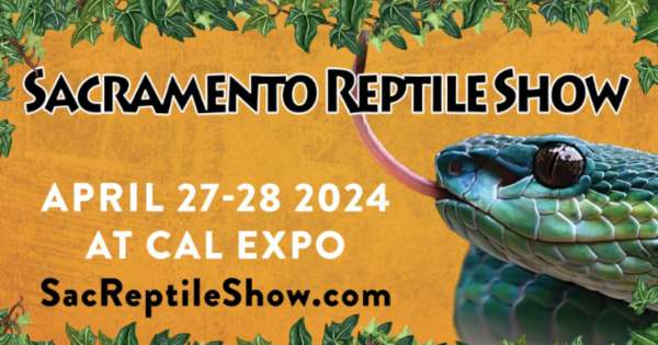 Sacramento Reptile Show