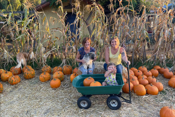 Best Pumpkin Patches In San Diego | 4Kids.com