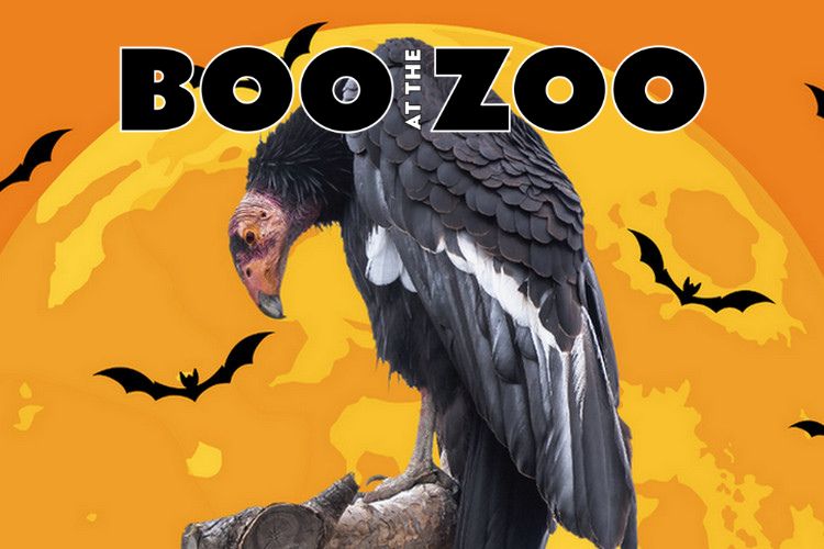 Trick or treat events in San Francisco - Boo at the Zoo - Oakland