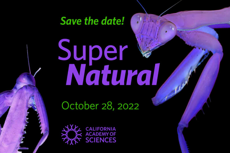 Halloween events in San Francisco - SuperNatural