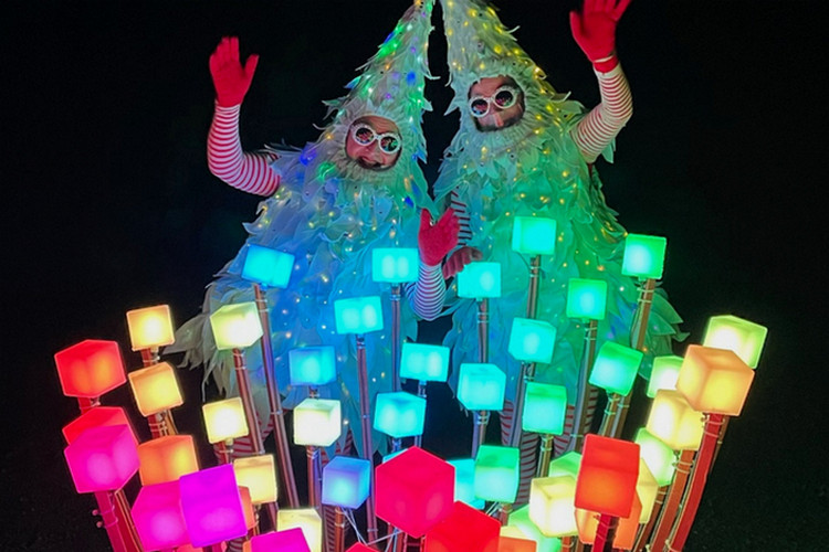 Holiday lights events in San Francisco - Entwined