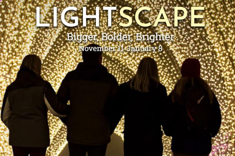 Holiday events in Los Angeles - Lightscape