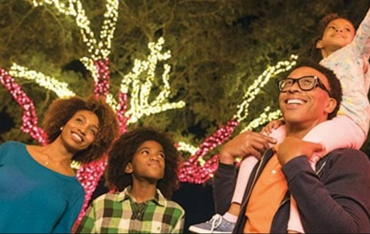 Holiday lights events in San Diego - SeaWorld Christmas Celebration