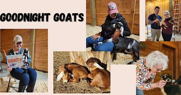 Goodnight Goats