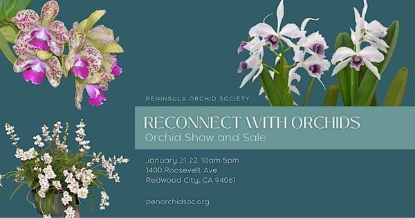 Orchid Show and Sale