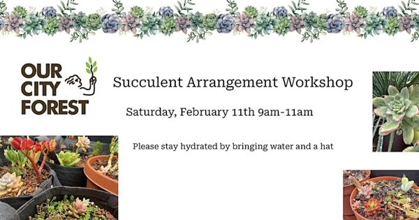 Succulent Arrangements Workshop