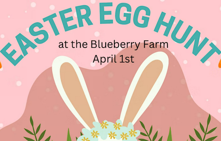 Easter Egg Hunt on the Farm