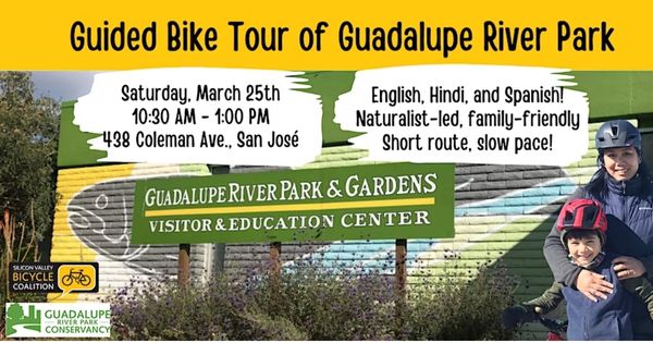 Family-Friendly Guided Bike Tour of Guadalupe River Park