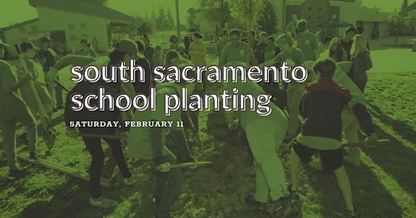 South Sacramento School Planting