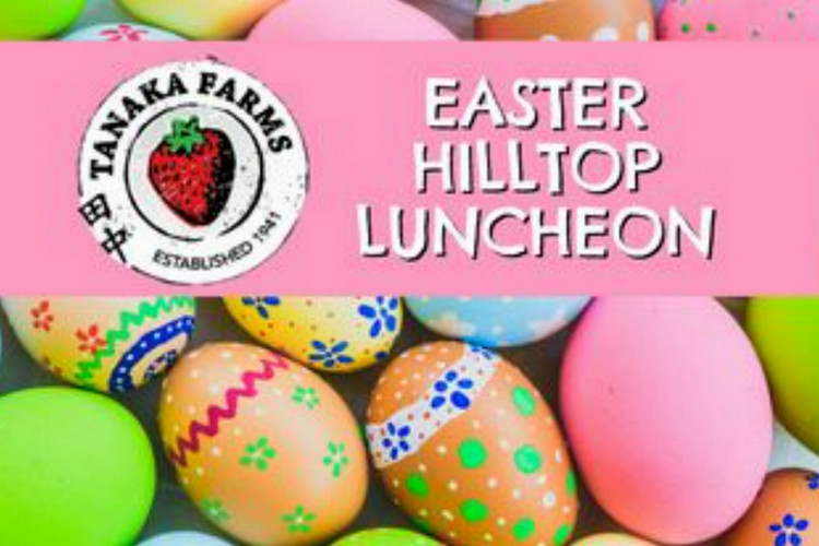 Easter egg hunting event in Los Angeles - Easter Hilltop Luncheon
