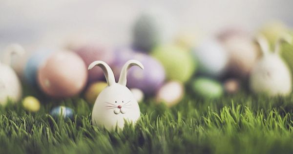 Easter Kids Eggstravaganza
