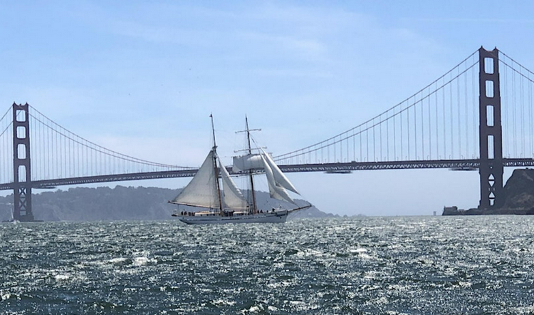 Celebrate Father’s Day in San Francisco -  Call of the Sea Sail