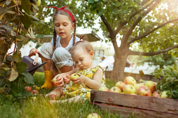 Fruit Picking In Sacramento With Kids | 4Kids.com Blog