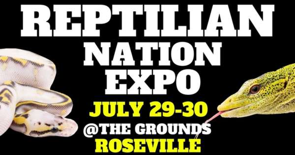 Reptilian Nation Expo -Roseville