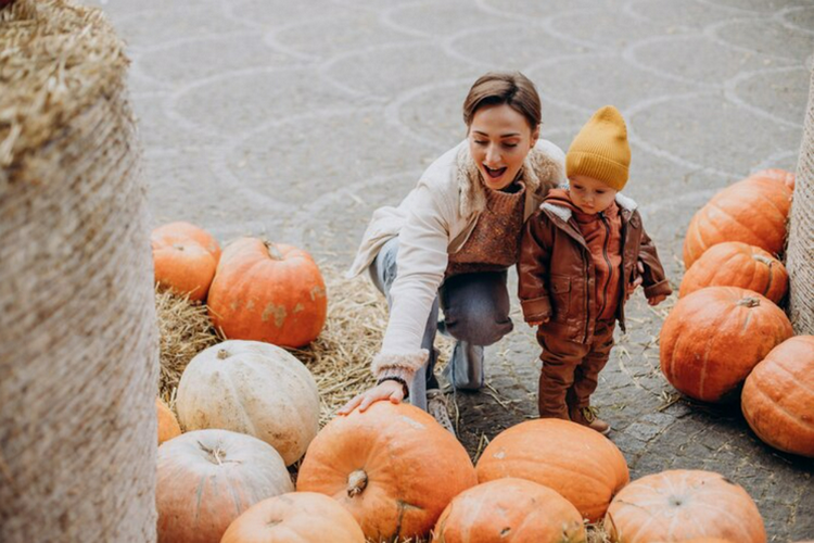 Our Top List of Pumpkin Patches in San Jose
