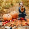 Best Pumpkin Patches in Fresno