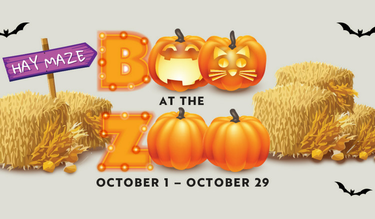 Halloween events in San Francisco - Boo at the Zoo