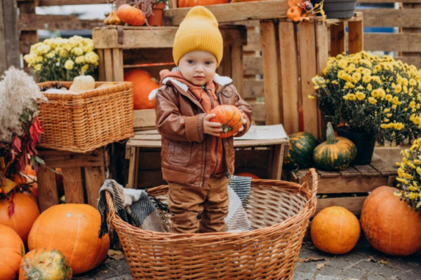 Best Pumpkin Patches In Los Angeles | 4Kids.com